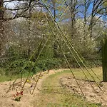 לינה וארוחת בוקר Le Refuge Du Jardinier