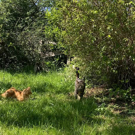 Oda ve Kahvaltı Le Refuge Du Jardinier